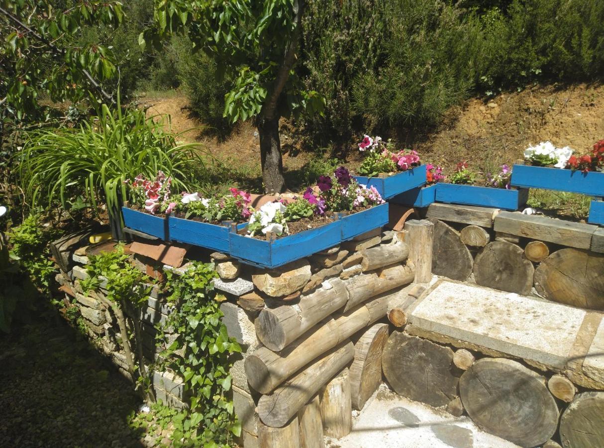 Casa Rural El Arroyo Sotoserrano المظهر الخارجي الصورة