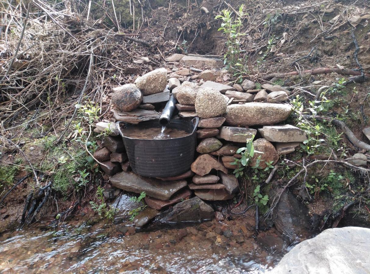 Casa Rural El Arroyo Sotoserrano المظهر الخارجي الصورة