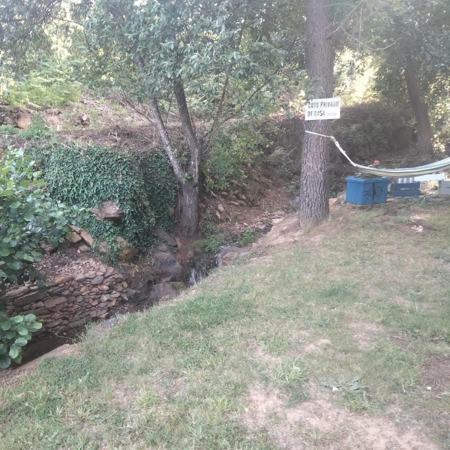 Casa Rural El Arroyo Sotoserrano المظهر الخارجي الصورة