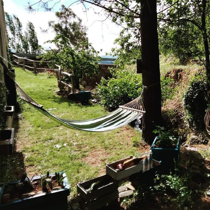 Casa Rural El Arroyo Sotoserrano المظهر الخارجي الصورة
