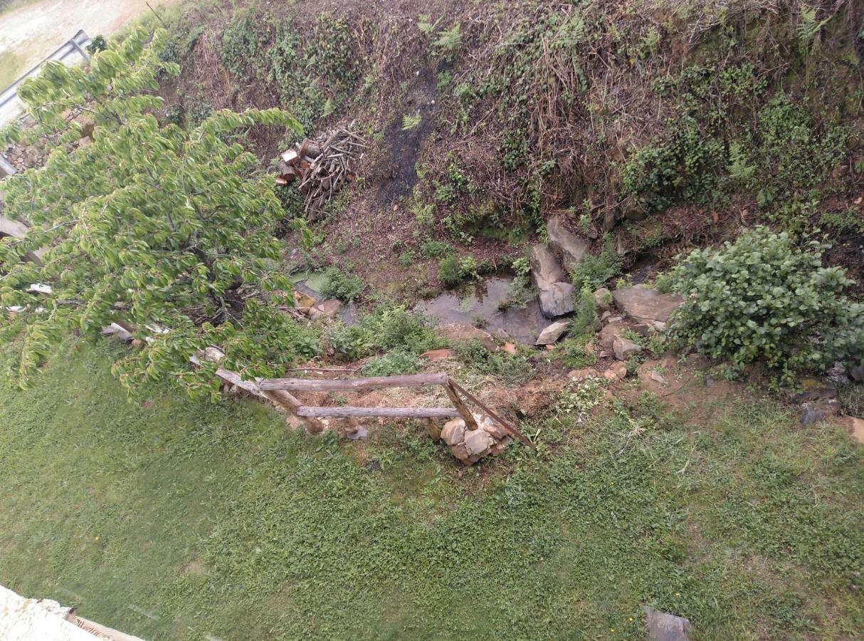 Casa Rural El Arroyo Sotoserrano المظهر الخارجي الصورة