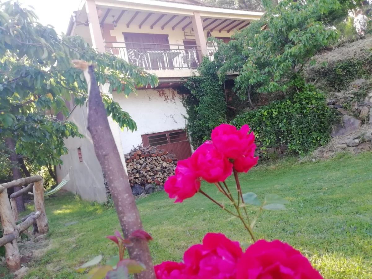 Casa Rural El Arroyo Sotoserrano المظهر الخارجي الصورة